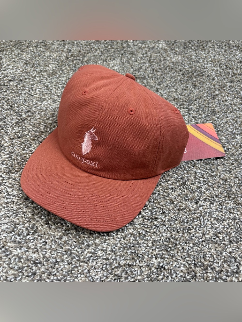 NWT Cotopaxi Dad Hat